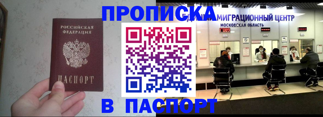 прописка в Мончегорске